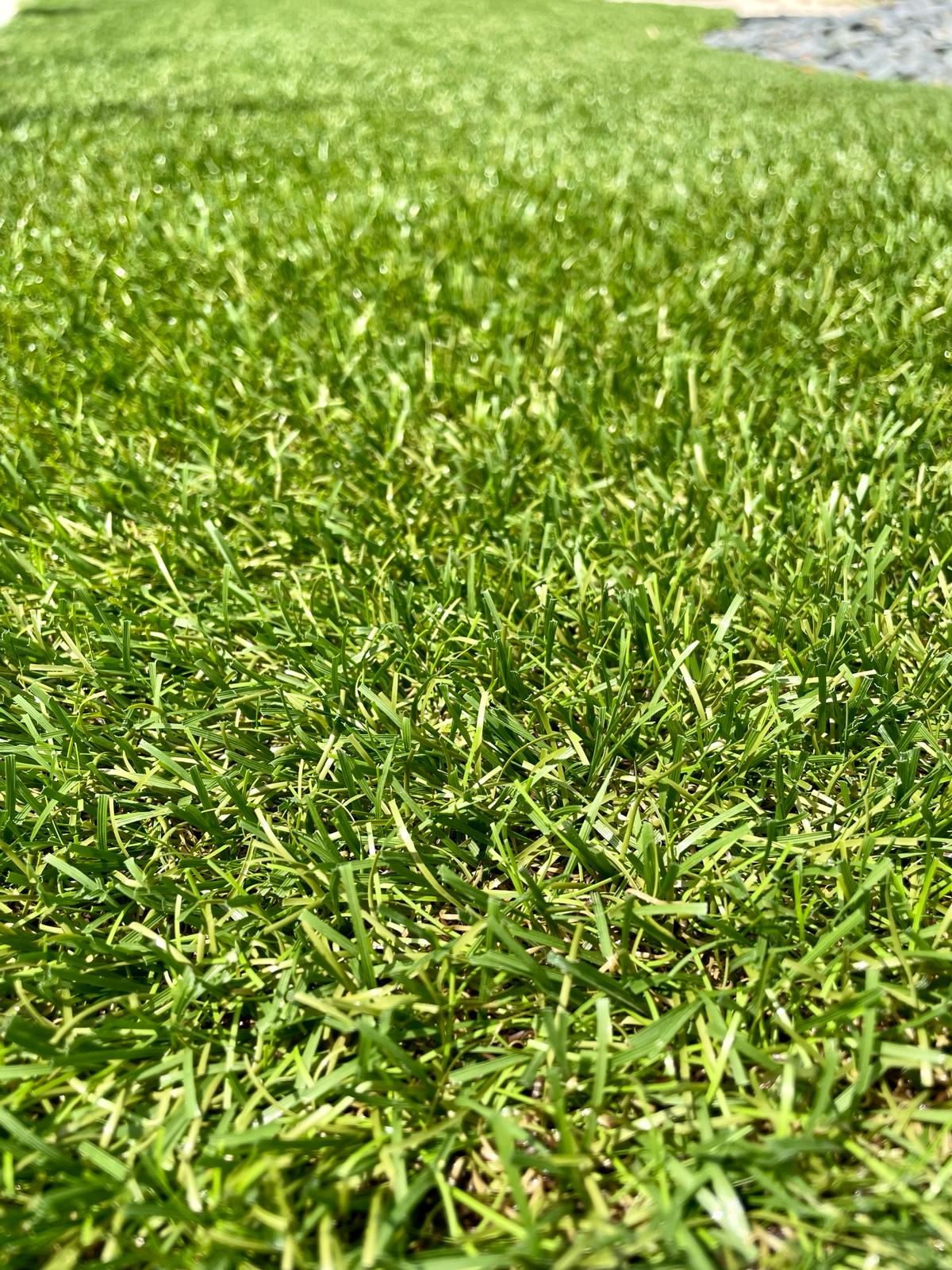 GREENLAND TOP 48 mm